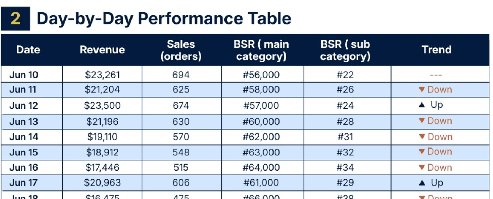 BSR Report report example